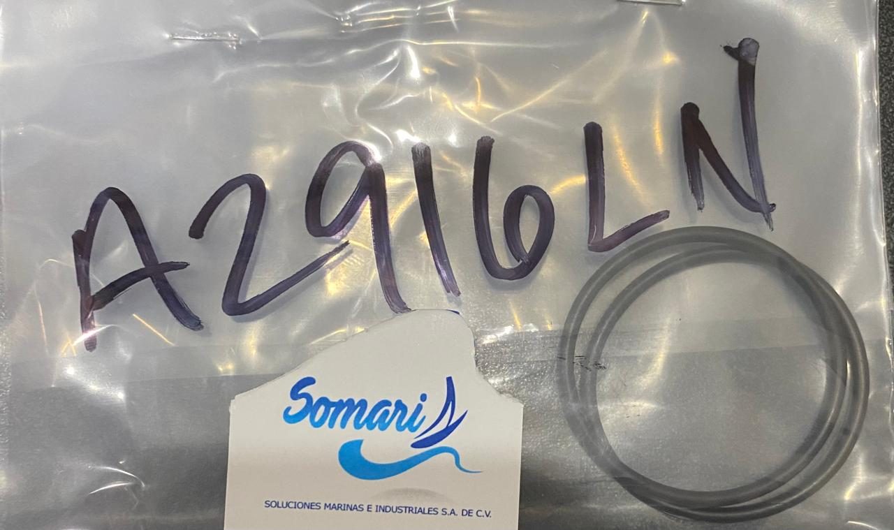 Whatsapp image 2026 03 03 at 13.46.53 (19)