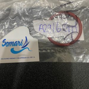 Whatsapp image 2026 03 03 at 13.46.53 (20)