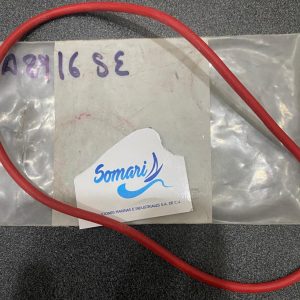 Whatsapp image 2026 03 03 at 13.46.53 (23)