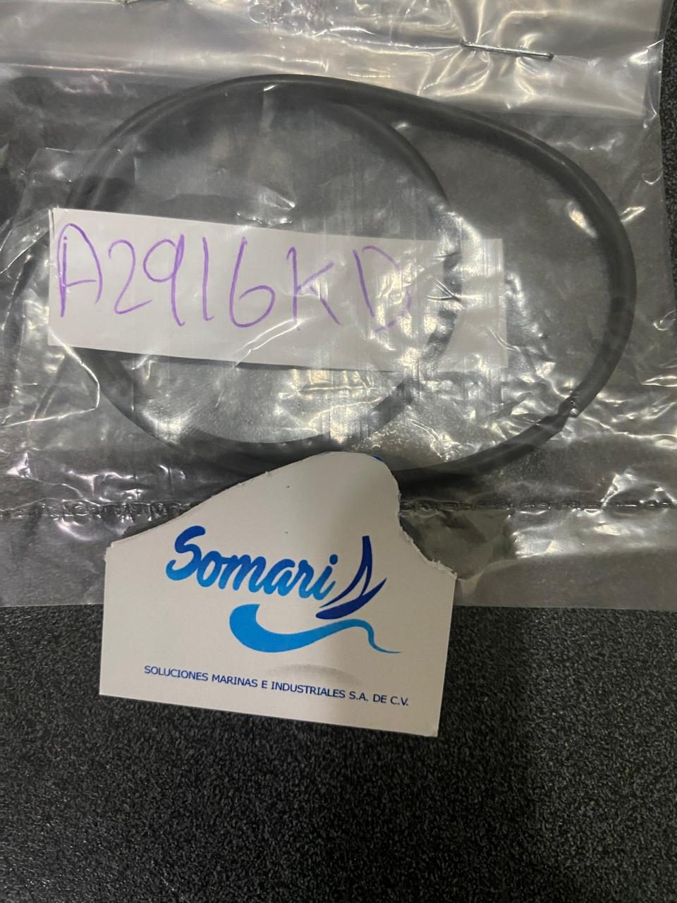 Whatsapp image 2026 03 03 at 13.46.53 (26)